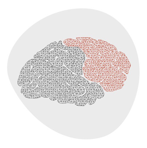 cervello stilizzato, diviso in due: una parte di colore rosso e l'altra di colore grigio