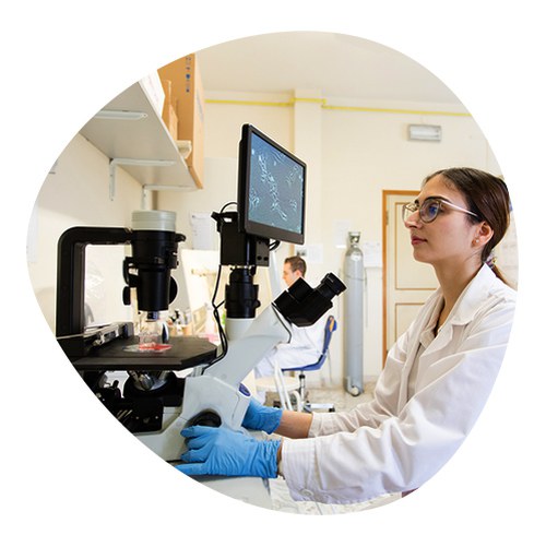 Student/researcher analyzing data in laboratory