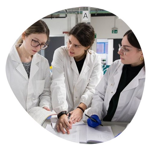 Group of female students in hospital working on documentation