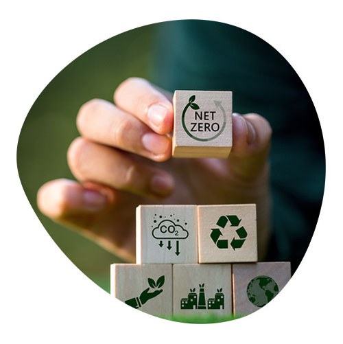 cubo in primo piano con scritta "NET ZERO" sopra una piramide di cubi con simboli legati alla sostenibilità