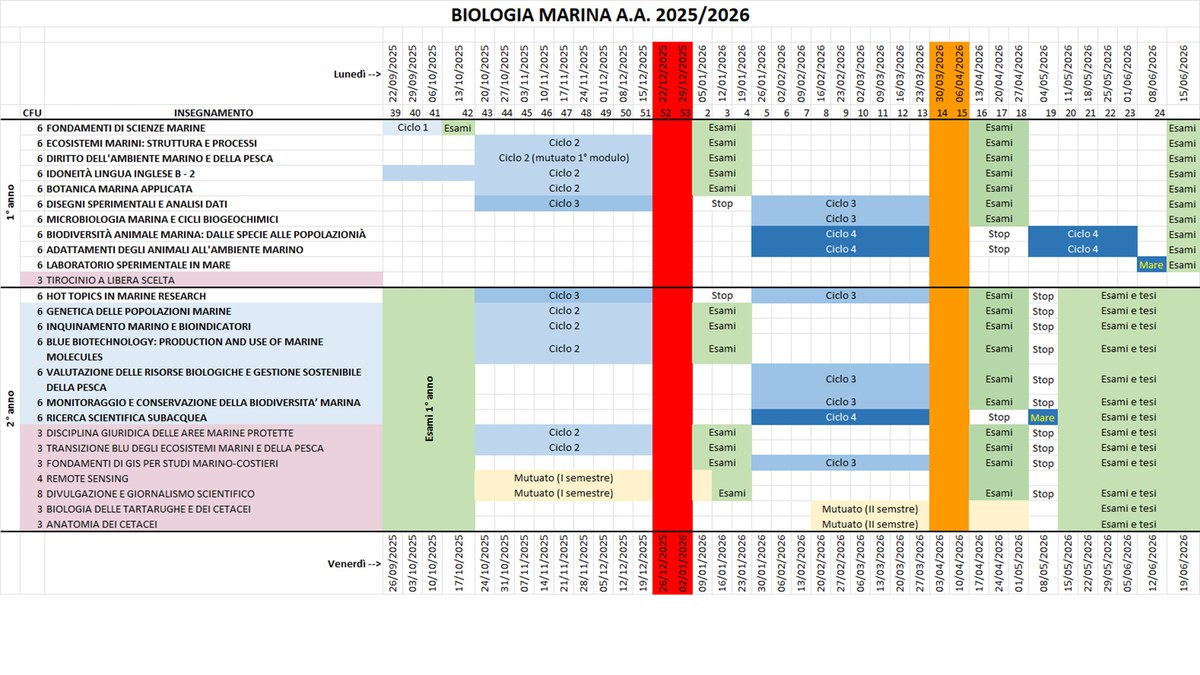 Schema dell'A.A. 2025-2026