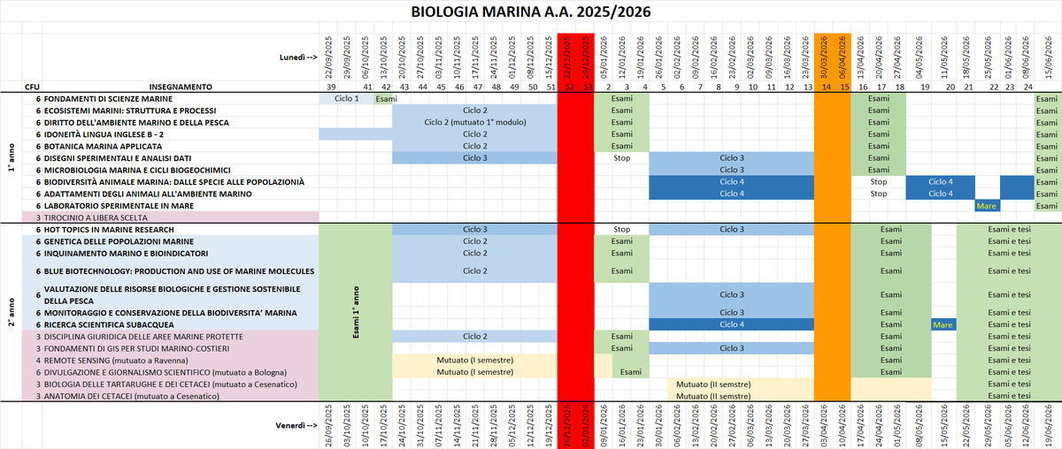 Schema dell'A.A. 2025-2026