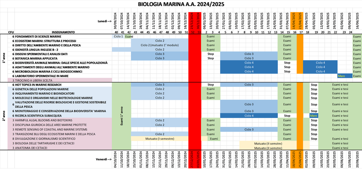 Schema dell'A.A. 2023-2024