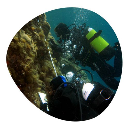 Due Sub che nuotano in un fondale marino