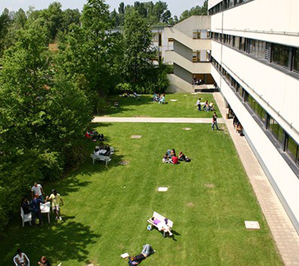 I giardini