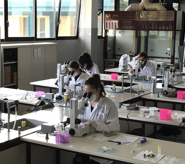 Laboratorio E1