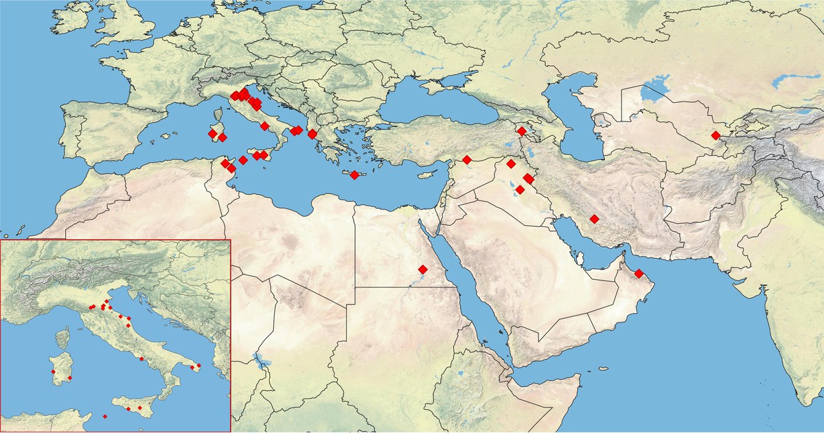 Gli scavi archeologici Unibo