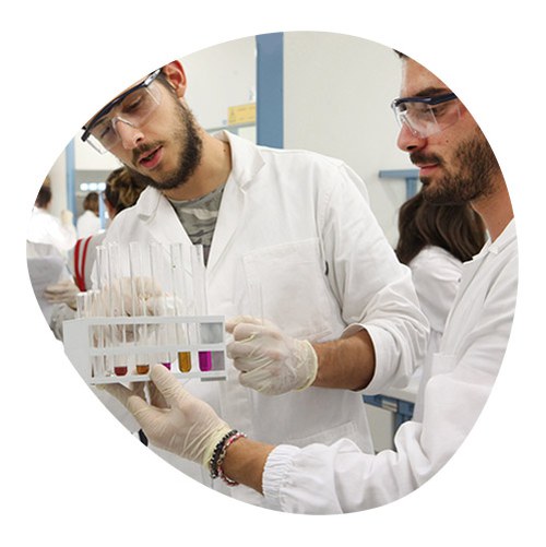 Two student researchers working in laboratory with test tube sets