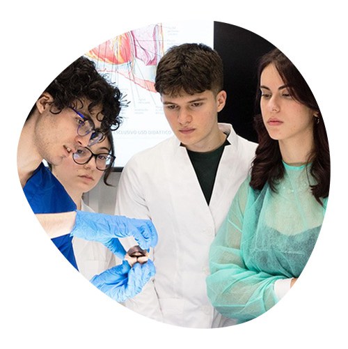 a group of students, future doctors, who in lab coats carry out the analysis of a sample